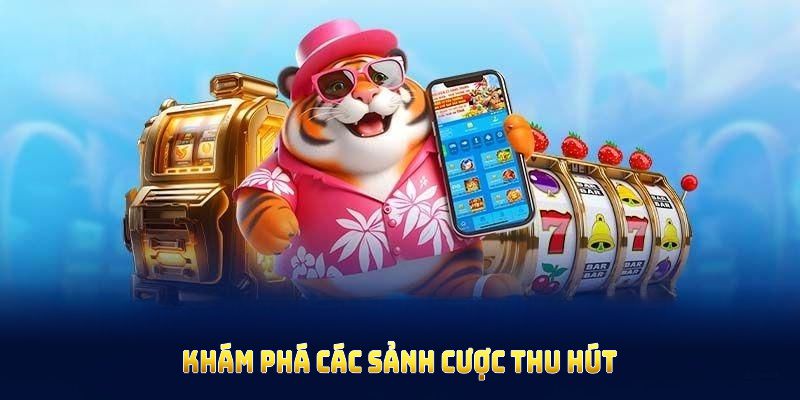 Khám phá các sảnh cược thu hút hội viên tại nhà cái U888